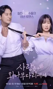 爱在独木桥 사랑은 외나무다리에서 (2024) 全12集