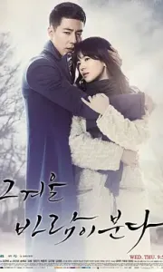 那年冬天，风在吹 그 겨울 바람이 분다 (2013)