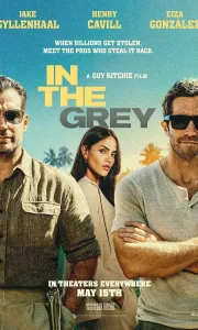 金谍行动[HD正式版]In.the.Grey.2026.HD1080P[2G][百度/夸克]