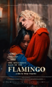 弗拉明戈的神秘眼神(2025)[WEB-MKV/4.3G][中文字幕][1080P][2025最新 7.6分精品]