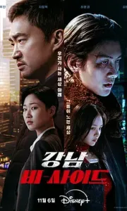 江南重案组 강남 비-사이드 (2024)