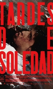 孤寂午后 Tardes de soledad (2024)[WEB-MKV/18.9G][中文字幕][1080P]