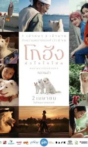 心犬相随[流媒体正式版]Gohan.2026.HD1080P[2.6G][百度/夸克]