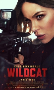 限时营救 Wildcat (2025).4K中字