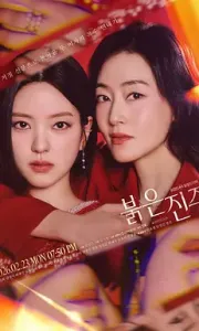 红色珍珠 (2026) /1080P画质/ai中韩字幕/夸克/百度（单集1GB左右）