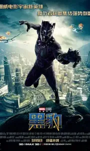黑豹 Black Panther (2018)【4KHDR】内嵌中英双字